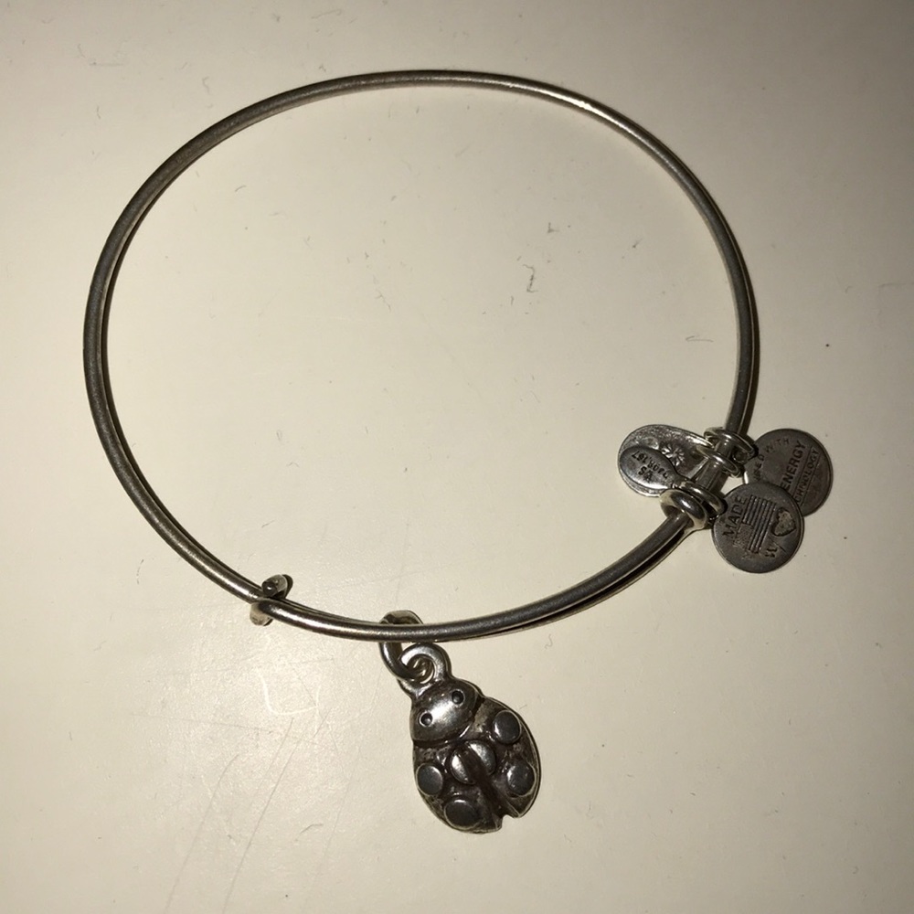 silver ladybug bracelet
